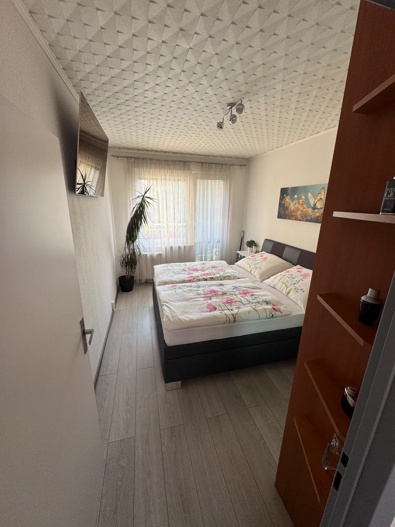 Právě probíhá kompletní TOPREKO 3+1 O-Bělský Les, Dr. Šavrdy – fotka 1 z 11